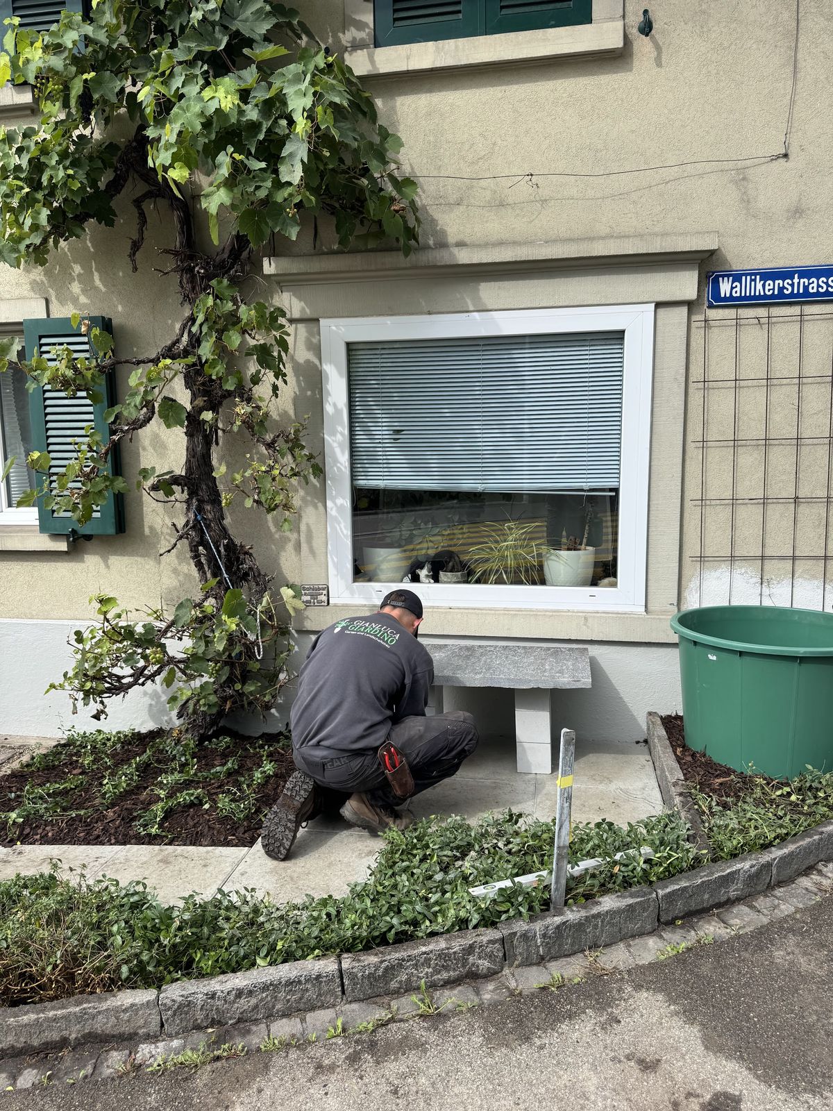 Gärtner arbeitet am Beet vor einem Hauseingang mit Rankpflanze